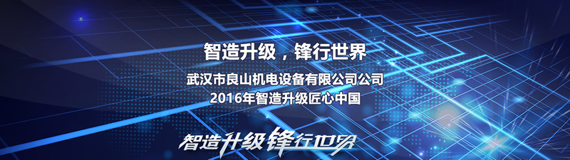 武汉市良山机电设备有限公司公司，2016年智造升级匠心中国